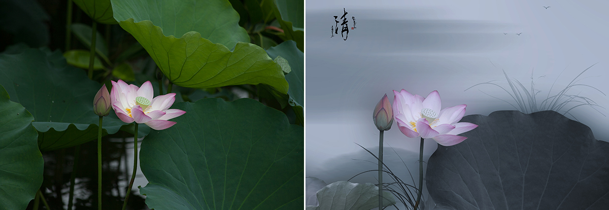 źɻ. ɨάѧ