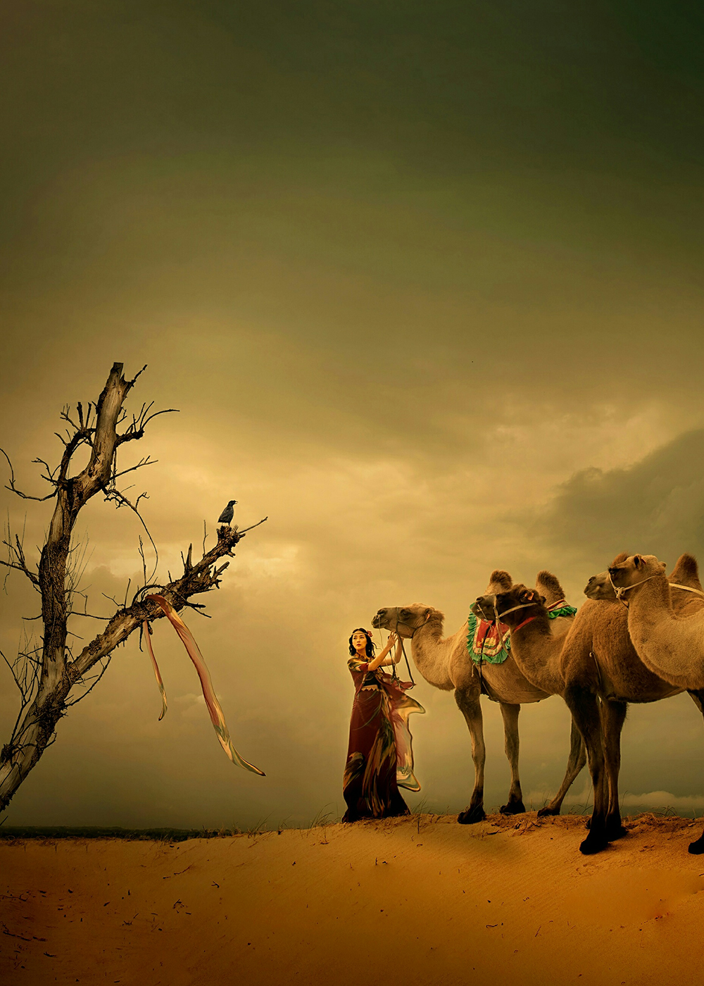 【第五期】内蒙古艺术人像高端摄影创作团 - 影享客 - 影享网 中国